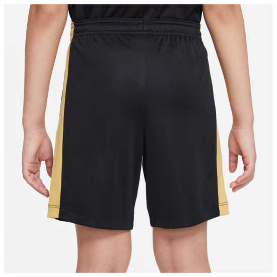 Nike Παιδικό σορτς Dri-FIT Academy23
